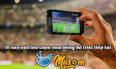 Mitom1-tv.pro: Sân chơi bóng đá trực tuyến tuyệt vời